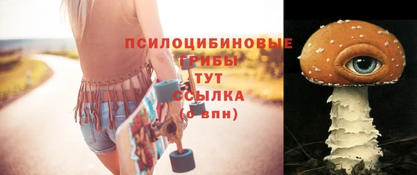 2c-b Балахна