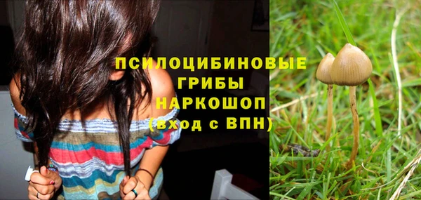 2c-b Балахна