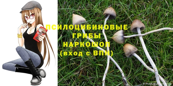 2c-b Балахна